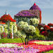 Miracle Garden and Global Village Dubai