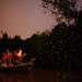 Kuala Selangor Firefly Tour including Seafood Dinner