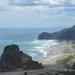 Piha Beach and Wine Tour from Auckland Including Lunch