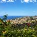 Madeira Shore Excursion: Funchal's Favourites Small Group Tour