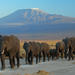 2 Days Amboseli National Park Safari