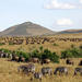 3 Days Masai Mara Camping Safari All Inclusive