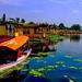 4-Night Kashmir Leisure Tour in Srinagar