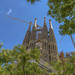 Priority Access: Barcelona Sagrada Familia Tour Including Tower Entry