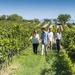 Torres Wine Cellars and Montserrat Guided Day Tour from Barcelona with Optional Sitges