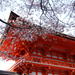 Kyoto Afternoon Tour to Heian Shrine, Sanjusangendo Hall and Kiyomizu Temple from Osaka