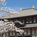 Kyoto and Nara Day Tour Including Golden Pavilion and Todai-ji Temple from Osaka