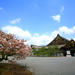 Kyoto City Tour: Golden Pavilion, Nijo Castle, Kyoto Imperial Palace and Handicraft Center
