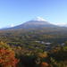 Mt Fuji and Aokigahara Forest Day Trip from Tokyo
