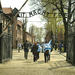 Auschwitz-Birkenau Memorial and Museum English and Spanish Guide from Krakow
