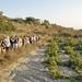 Santorini Small-Group Wine Tour with Professional Oenologist