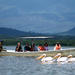 Full-Day Lake Naivasha Tour from Nairobi