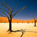 3-Day Namibia Desert Tour from Windhoek
