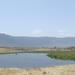7-Day Private Tour: Lake Manyara, Serengeti, Ngorongoro and Tarangire from Arusha