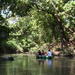 Canoe Experience at Río Frio and Caño Negro