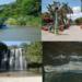 Palo Verde National Park and Liberia Combo Tour