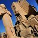 Private Day Trip to Luxor from Hurghada by Bus