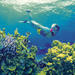  4-Day Cairns and Great Barrier Reef Tour