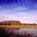 Kakadu Day Tour from Darwin including Ubirr Art Site and Mary River Wetlands Cruise