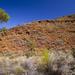 Palm Valley 4WD Tour from Alice Springs
