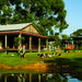 Tobruk Australian Outback Experience including Aussie BBQ Lunch