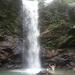 Trinidad Rainforest Hike to Waterfall