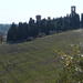 Florence Day Trip to Chianti and San Gimignano