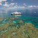 Great Barrier Reef Day Cruise from Cairns Including Snorkeling and Marine Biologist Presentation