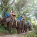 Long Trek Exclusive Elephant Safari at the Bali Zoo Including Hotel Transfer and Lunch