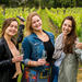 Waiheke Scenic and Three Vineyard Wine Tasting Tour