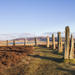 5-Day Orkney Islands Tour from Edinburgh Including the Scottish Highlands