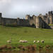 Alnwick Castle and the Scottish Borders Day Trip from Edinburgh