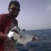 Dubai Deep Sea Fishing Trip