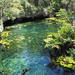 3 Cenotes Tour with Lunch: Dos Ojos, Misterio and Nikte-Ha