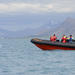 Express Rib Boat Whale Watching from Akureyri