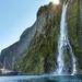 Queenstown Super Saver: Milford Sound Nature Cruise plus Walter Peak High Country Farm Tour