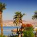 2-Night 3-Days Private Weekend Escape to Petra and Aqaba
