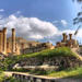 Private Full Day Jerash and Um Qais Tour From Dead Sea