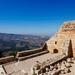 Private North Tour Jerash and Ajlun including Amman Panoramic from Amman