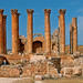 Private North Tour Jerash and Ajlun including Amman Panoramic from Dead Sea