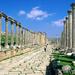 Private Half Day Tour to Jerash and Amman City Tour