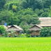 3-Day Mai Chau Tour from Hanoi Including Biking and Homestay