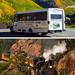 Bus to Silverton and Train to Durango Full Day Experience