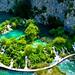 Plitvice Lakes Private Tour From Split