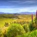 Full-Day Wine Gourmet and Scenic Delight Tour from Blenheim