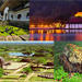 10-Night Sri Lanka UNESCO Heritage Sites Tour from Colombo