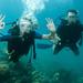 Catalina Island Scuba Diving and Snorkeling Tour from Punta Cana