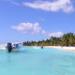 Saona Island Full-Day Tour from Punta Cana