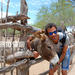 Hiking Tour in the Baja Peninsula with a Donkey