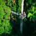 Mount Tamborine Day Trip from the Gold Coast Including Skywalk